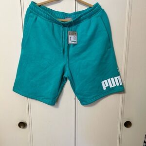 Puma Men's Teal Athletic Shorts